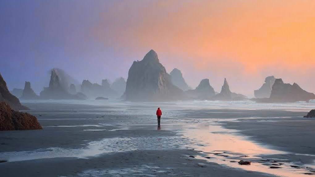 Has Anyone Seen the Bridge?