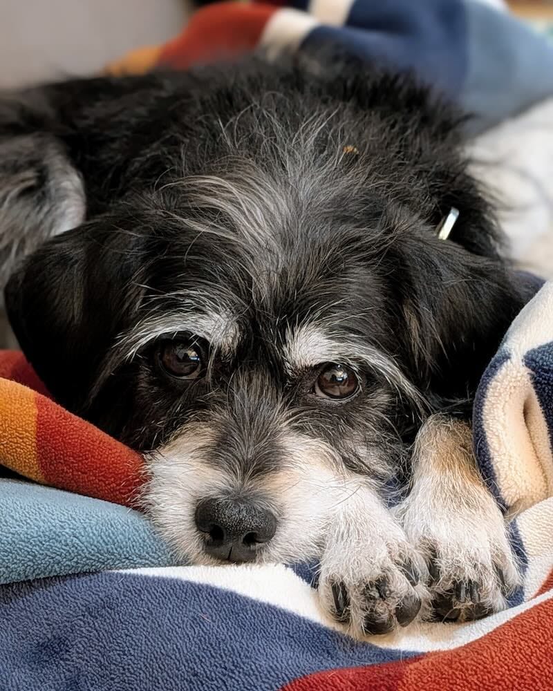 Please Make Yourself At Home: When the Asymptote Hits